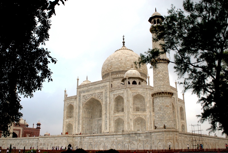 tree, city, built structure, historic, plant, sky, tourism, travel destinations, architecture, india, religion, structure, taj mahal, white, nature, dome