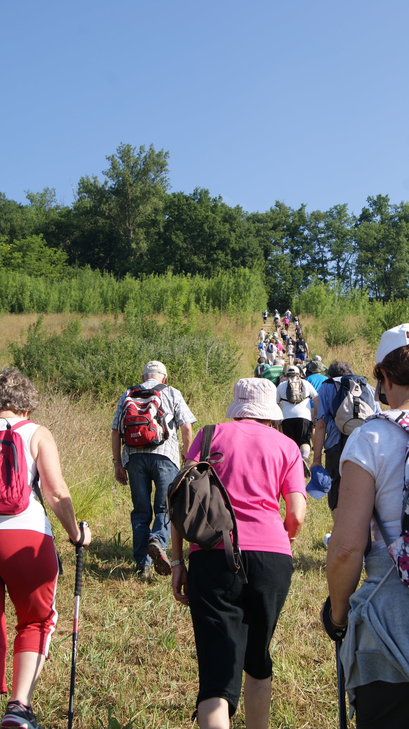4K, land, adventure, day, people, walking, nature, growth, sport, crowd, outdoors, real people, sky, hiker, group of people, activity, leisure activity