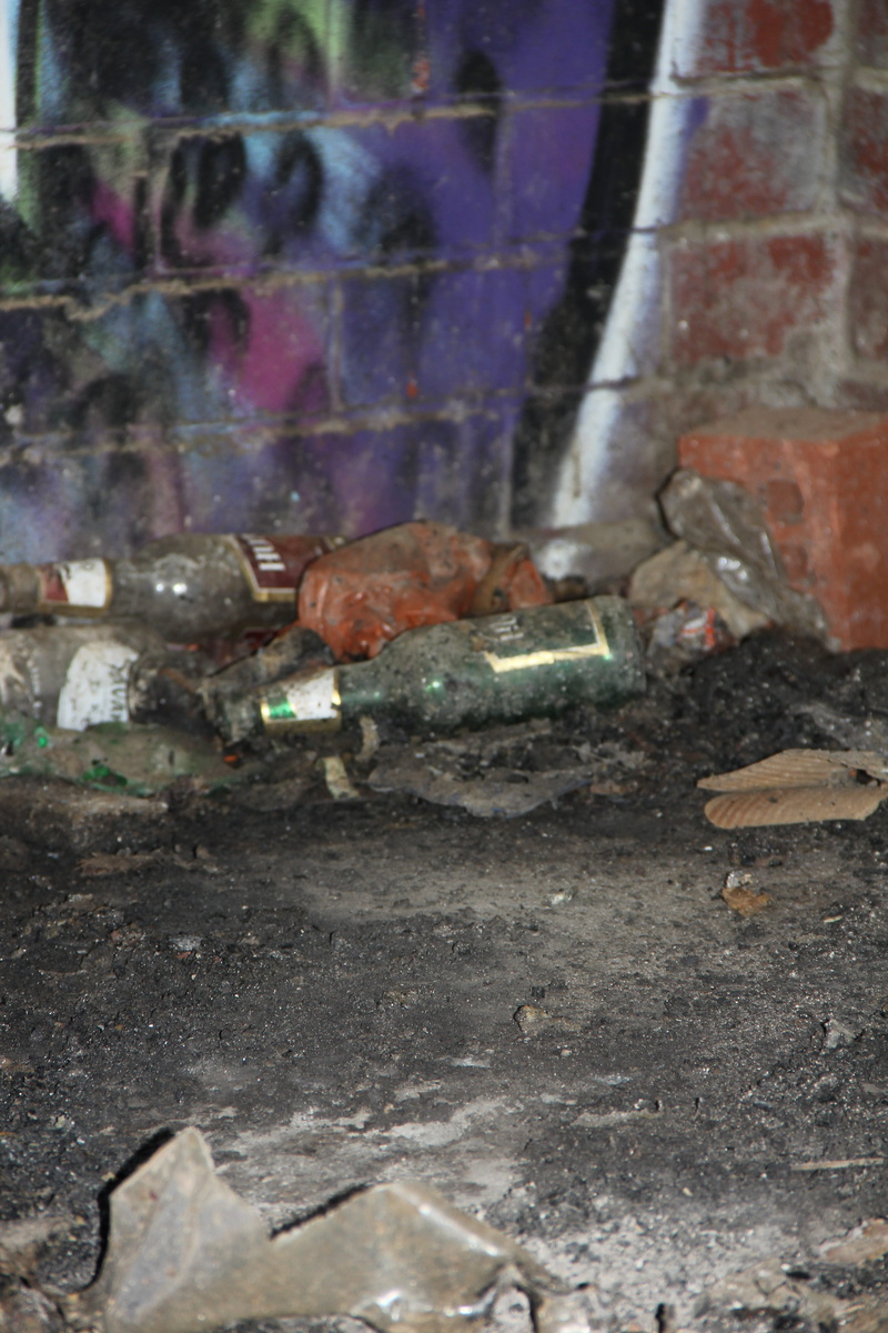 garbage, city sights, destruction, street, messy, 5K, glass - material, litter, trash, no people, bottles, nature, transparent, dirty, damaged, day, rubbish