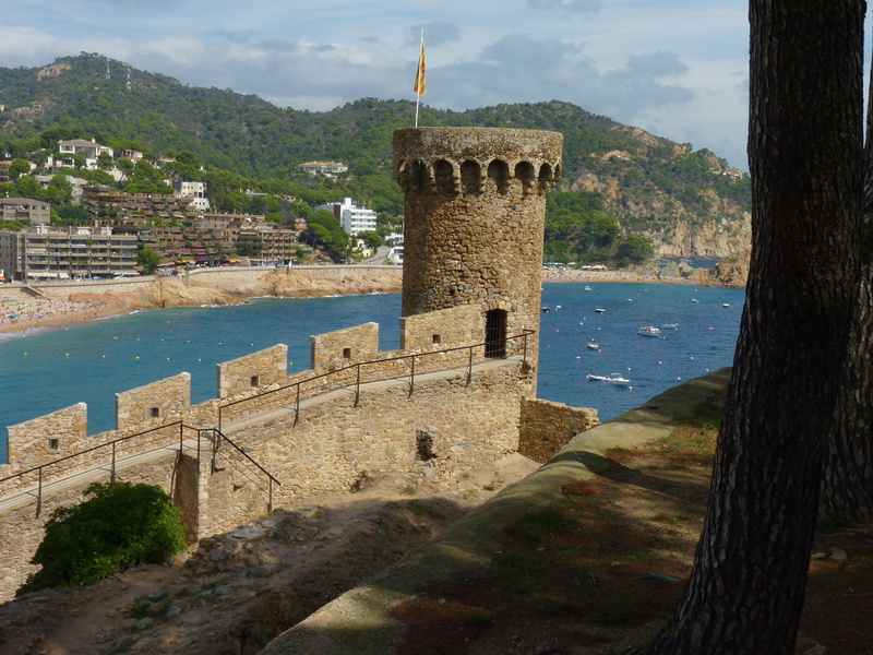 tree, day, history, no people, ruined, spain, nature, built structure, tossa de mar, old, ancient, fort, building, water, castle, sky, plant, 4K, ancient civilization