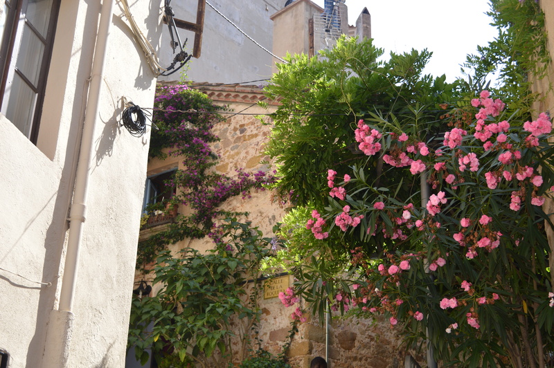 tossa de mar, pink, no people, building, growth, nature, architecture, spain, built structure, plant, pink color, tree, flower pot, flower, outdoors, day