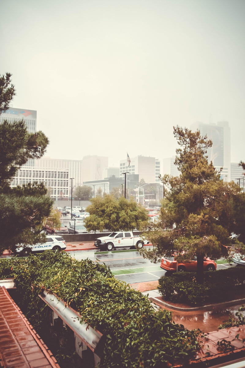vegas, motor vehicle, car, water, cityspace, windy, transportation, cityscape, high angle view, tree, moody, building, downtown, sky, building exterior