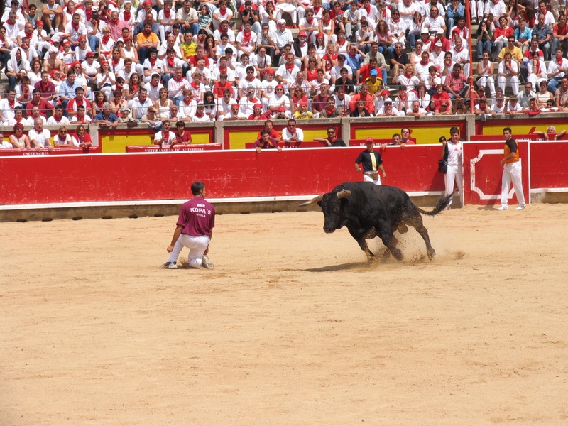 sport, toro, domestic, outdoors, vertebrate, pets, audience, real people, 1080P, watching, domestic animals, bullring, group of people, trimmers, competition