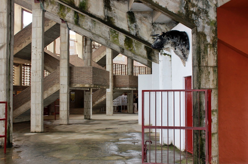 arena, corridor, no people, abandoned, ruined, entrance, nature, weathered, run-down, architectural column, history, wall - building feature, window, 2K