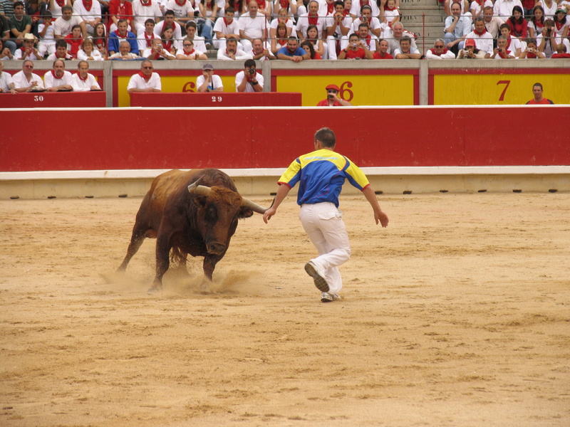 full length, domestic animals, domestic, running, mammal, group of people, outdoors, leisure activity, 2K, Bullring, real people, Toro, activity, Trimmers