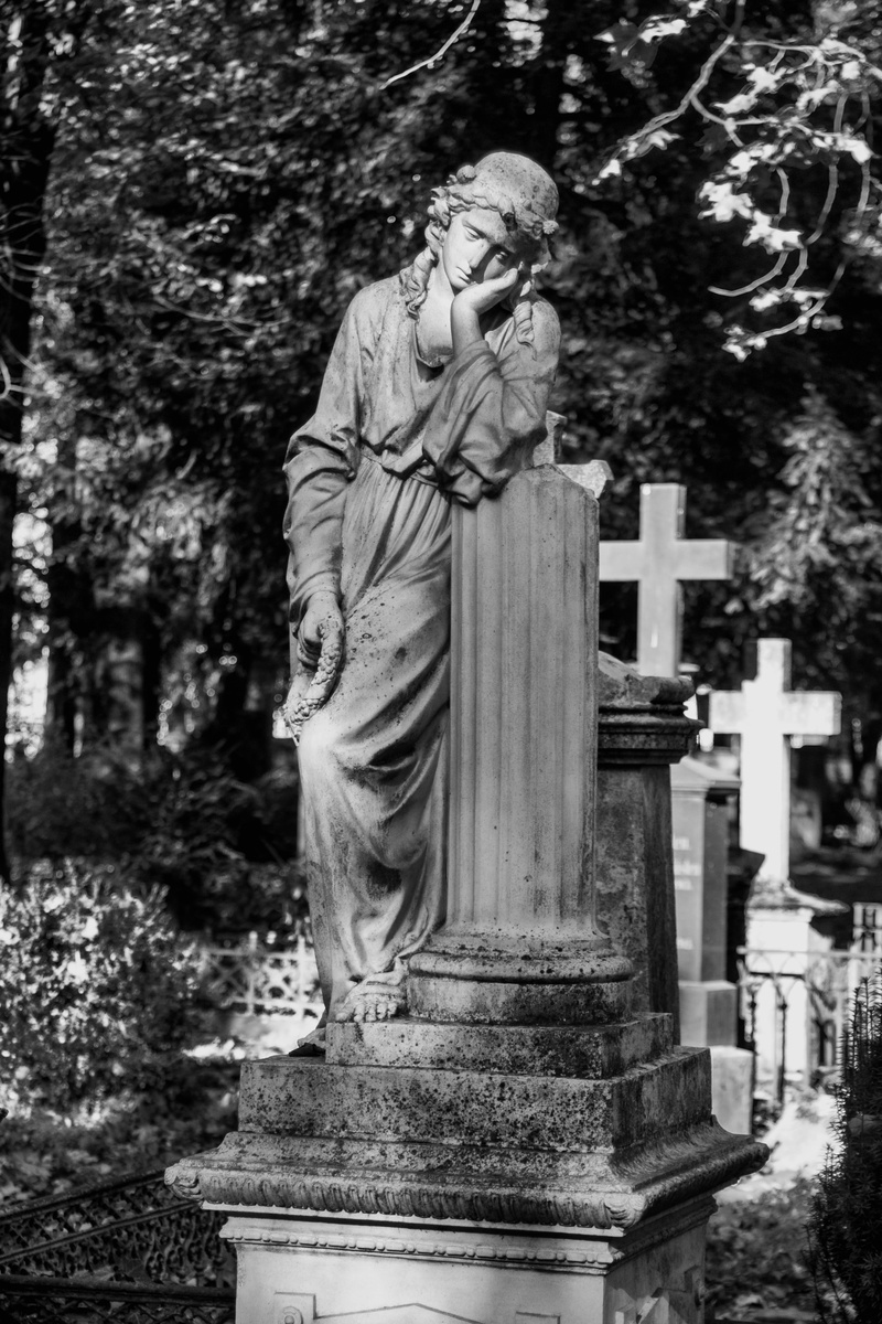 creativity, religion, no people, spirituality, belief, stone, sculpture, outdoors, stone material, angel, male likeness, tree, burial ground, craft, old cemetery