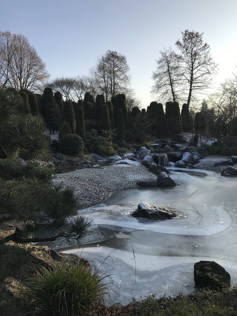 places of interest, flowing water, outdoors, rock, sky, water, day, rock - object, bonn, plant, nature, land, park, tranquil scene, japanese, garden show