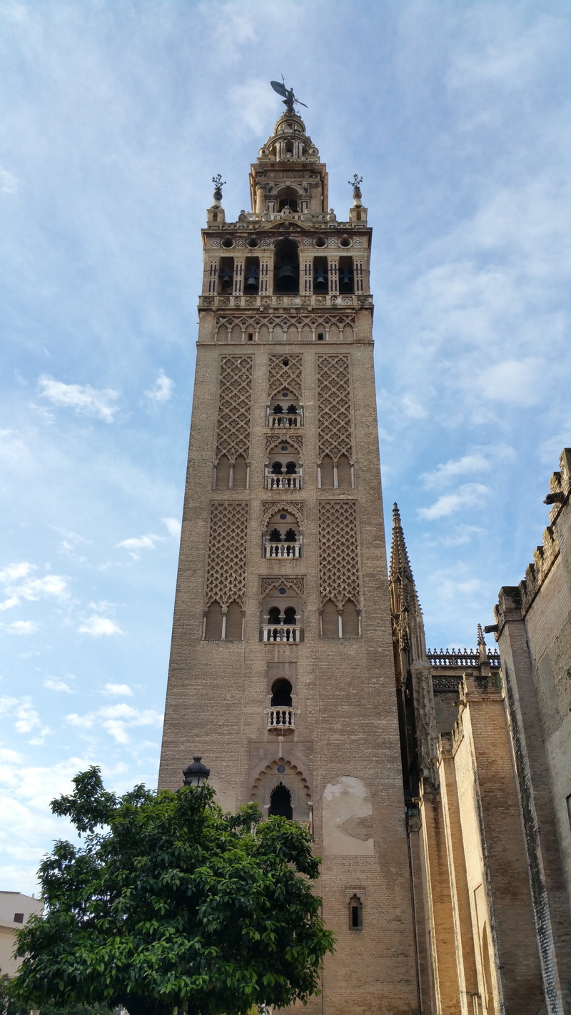 seville, plant, travel, tourism, time, clock, 5K, cathedral, building, travel destinations, building exterior, no people, low angle view, nature, outdoors