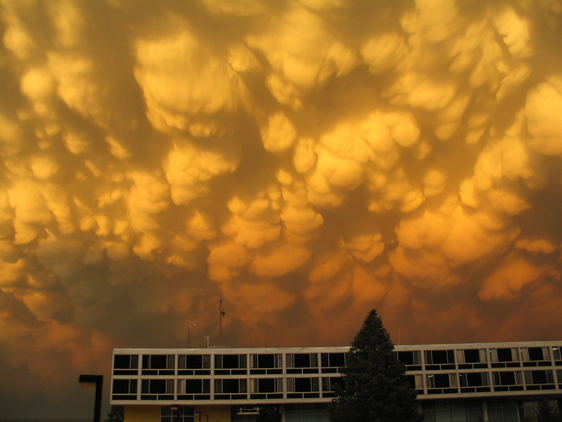 sunset, landscape, formation, dramatic, colorful, cloud - sky, dark, round pouches, plant, 1080P, sunlight, mammatus clouds, beauty in nature, tree, city