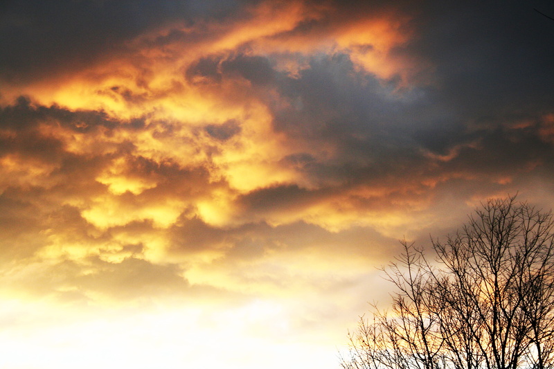 clouds, cloud - sky, majestic, dramatic sky, storm, silhouette, tranquility, mammatus, sunlight, scenics - nature, tranquil scene, earth, sky, orange color