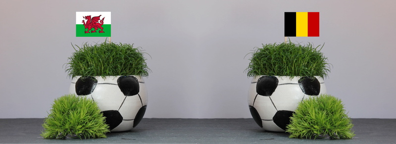 quarter-finals, flower, funny, belgium, belgium - wales, botany, european championship, houseplant, sport, no people, potted plant, studio shot, architecture