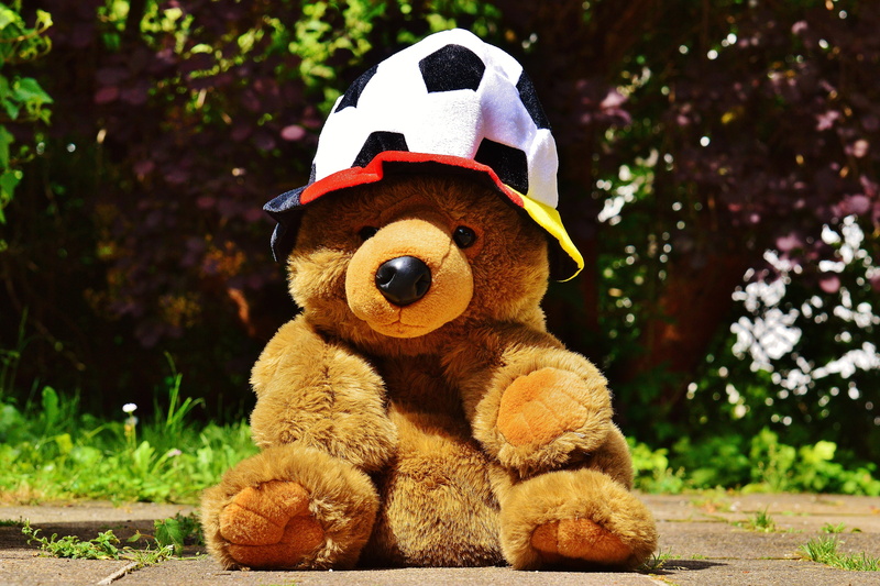 france, brown, animal, funny, childhood, world championship, representation, sport, plant, animal themes, sitting, hat, competition, european championship