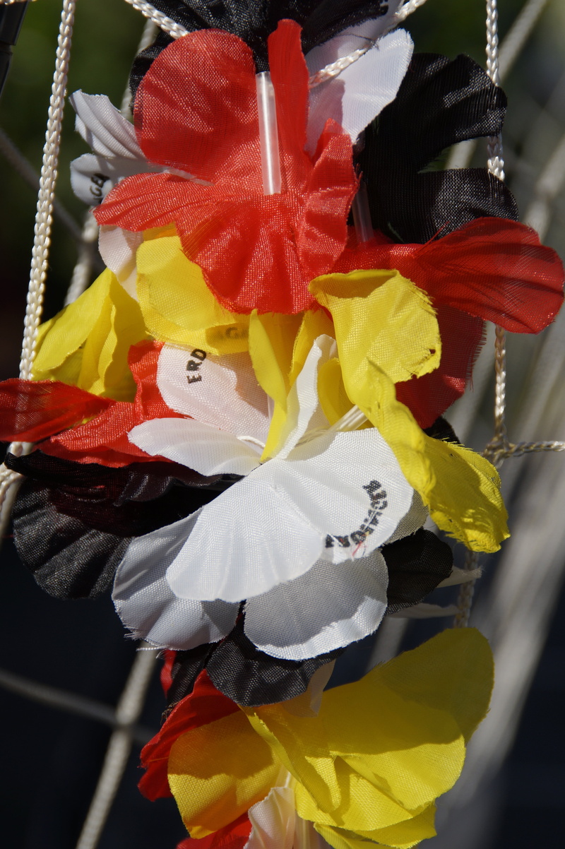 flower, red, 5K, vulnerability, football, flag, day, plant, world cup, outdoors, black red gold, close-up, garland, multi colored, yellow, football world cup