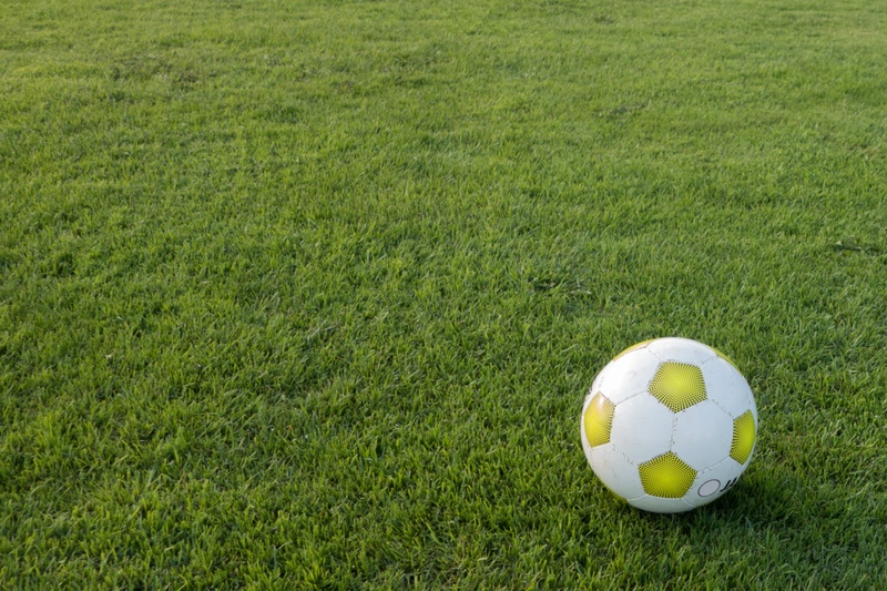rush, outdoors, soccer Ball, sports equipment, nature, world championship, football, grass, soccer, no people, sports ground, sport, single object, football pitch