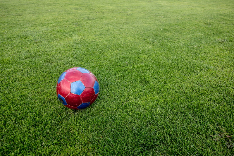 football match, sphere, Ground, sports equipment, world championship, sunlight, Ball, single object, golf course, playing field, growth, no people, green