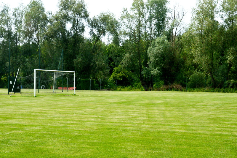 playing field, sports meeting, no people, match, club, football field, land, empty, team sport, tree, soccer, nature, football, absence, team, outdoors