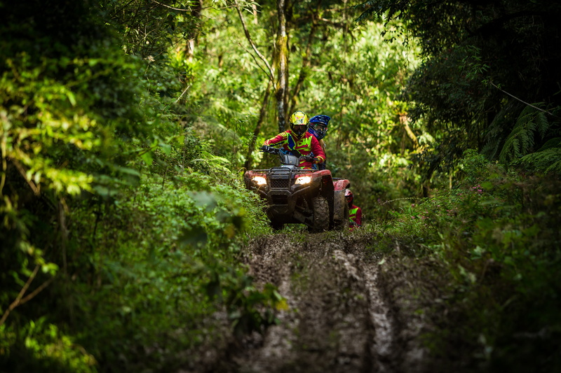 rainforest, dust adventure, selective focus, growth, transportation, nature, plant, person, 5K, mode of transportation, red, foliage, leisure activity
