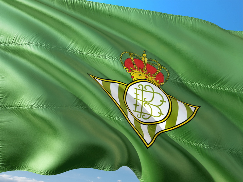 close-up, green color, low angle view, international, flag, art and craft, 4K, plant part, creativity, environment, tree, la liga, palm leaf, real betis sevilla