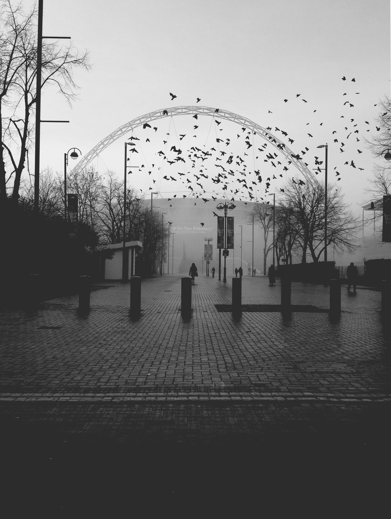architecture, famous, bird, london, flock of birds, lifestyles, black And White, wembley, animal themes, urban Scene, direction, 2K, culture, built structure