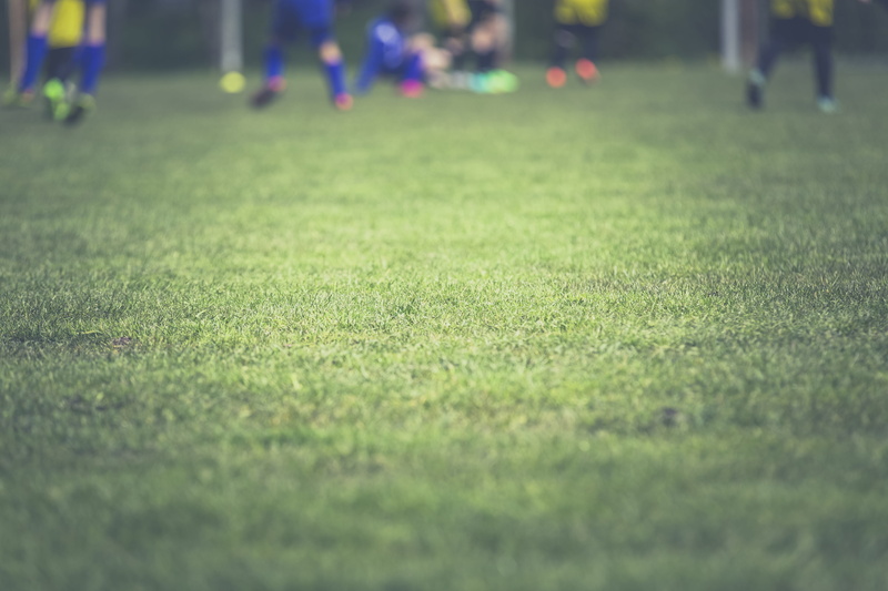 football, photo, meadow, leisure activity, green color, land, surface level, 5K, real people, sport, football player, plant, selective focus, jersey, playing