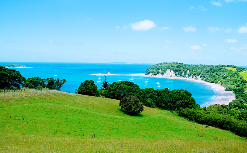 5K, countryside, New Zealand, grass, sea, tranquil scene, growth, tree, land, scenics - nature, field, blue, tranquility, beauty in nature, grassland