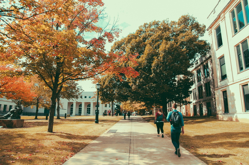 5K, real people, uofa, arkansas razorabacks, built structure, fall semester, change, walking, arkansas, building exterior, autumn, full length, leisure activity