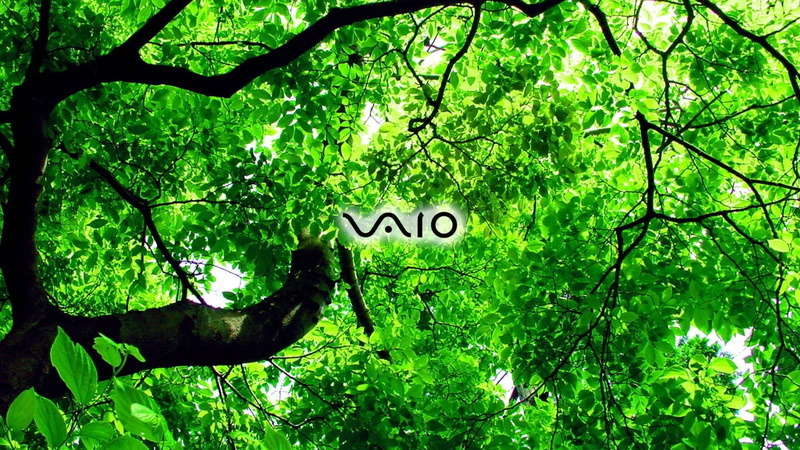 sony, vaio, 1080P, computer