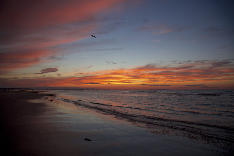 water, no people, animal themes, orange color, beach, sunset, scenics - nature, tranquil scene, sky, horizon, horizon over water, ma, tranquility, twilight
