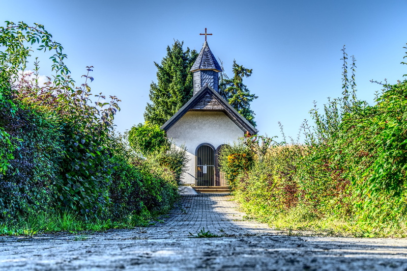 belief, hdr, pray, plant, building, bell tower, direction, shrubs, sky, growth, architecture, outdoors, building exterior, away, contrast, cross, green