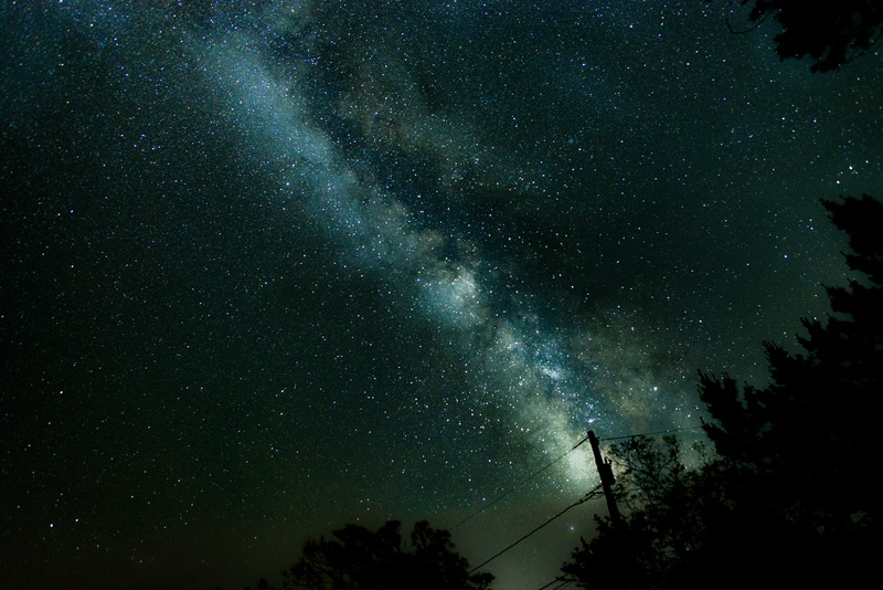 beauty in nature, blue, nature, silhouette, planet - Space, trees, 5K, tree, stars, milky Way, starry, starry night, technology, tranquil scene, night
