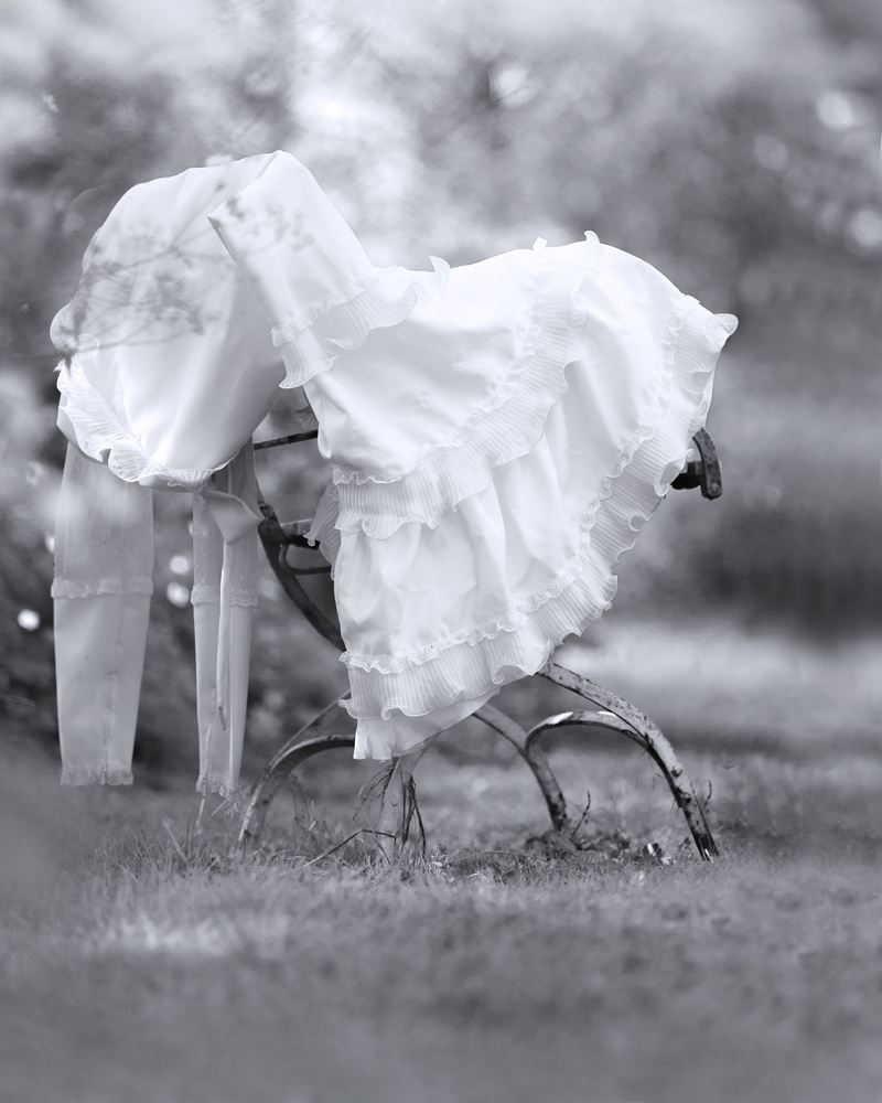 love, 5K, romance, newlyweds, event, plant, bride, animal themes, wedding ceremony, life events, day, focus on foreground, field, celebration, vintage
