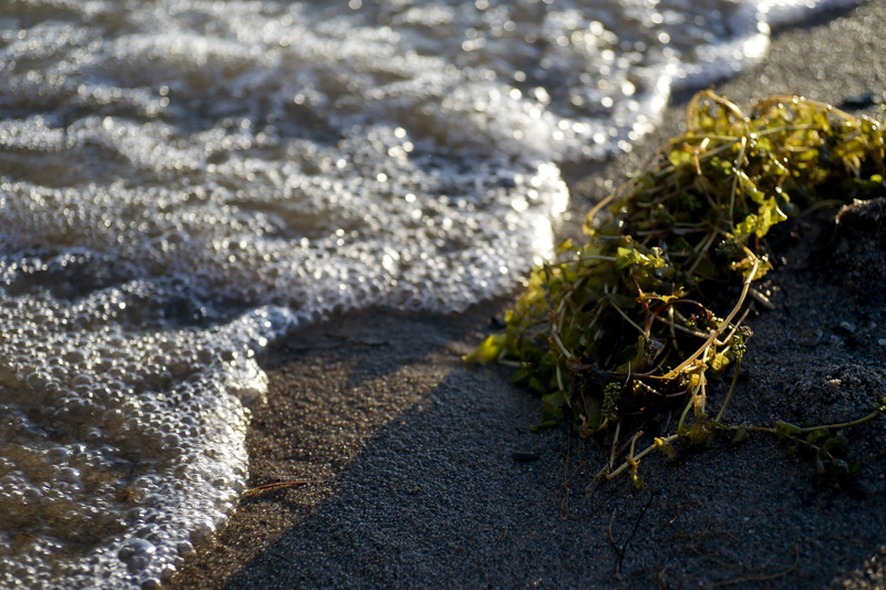 nature, 5K, aquatic sport, selective focus, abstract, wave, beauty in nature, coast, sport, beautiful, no people, sun, land, outdoors, blue, sunlight