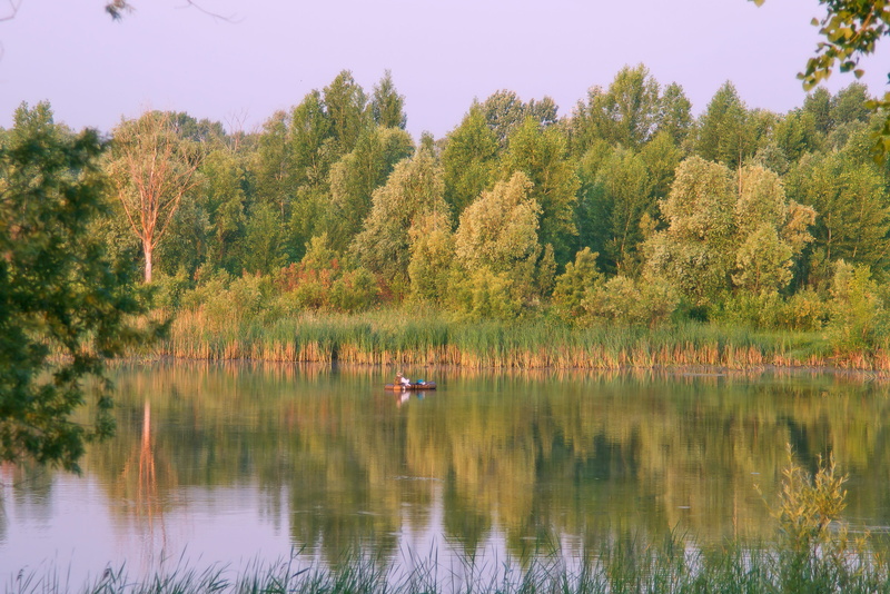 autumn, non-urban scene, river ob, tree, 4K, beauty in nature, scenics - nature, tranquil scene, travel, calm, animal, summer, sky, forest, waterfront