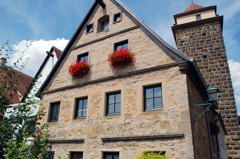 historically, outdoors, built structure, architecture, flower, window, old, historic center, low angle view, residential district, berry fruit, germany