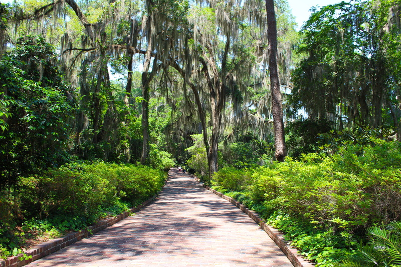 land, tranquility, Path, non-urban scene, walkway, Trees, green, forest, scenics - nature, tree, nature, landscape, Outdoor, green color, Stone, sidewalk