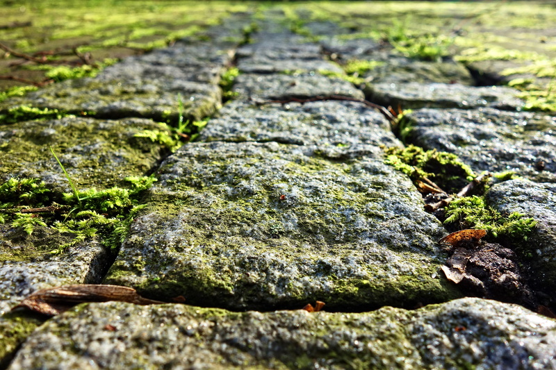 stone, rough, textured, surface level, full frame, cobble stone, walkway, rock - object, no people, 4K, path, moss, stone - object, pattern, moss grown cobbles