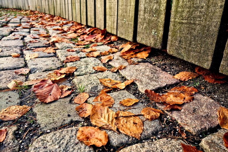 fallen leaves, day, high angle view, planks, fence, natural condition, change, leaf, path, gravel, maple leaf, leaves, dry, 4K, falling, walkway, cobbles