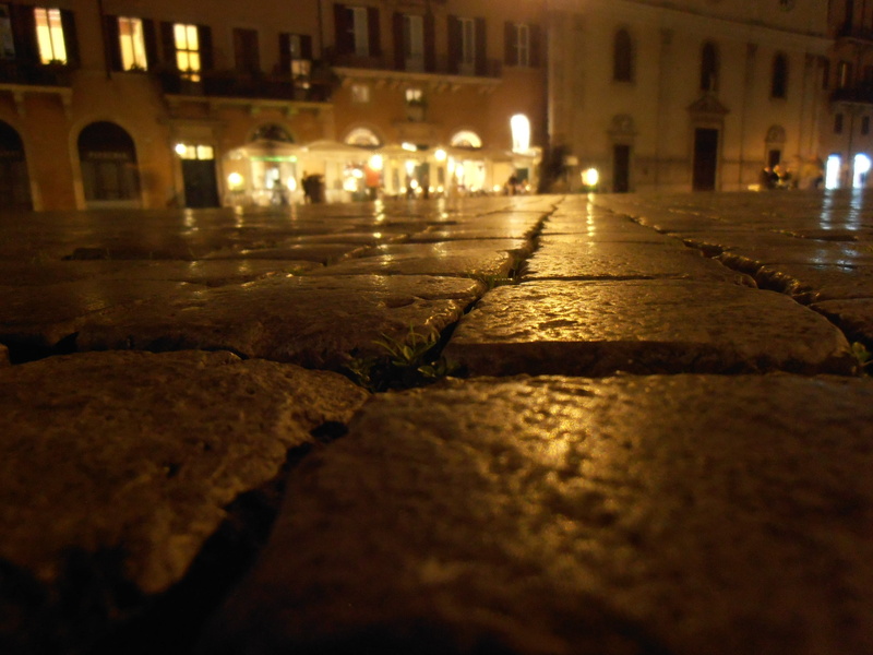 transportation, illuminated, building, 2K, texture, motor vehicle, selective focus, water, direction, night, urban Scene, nature, surface level, soil