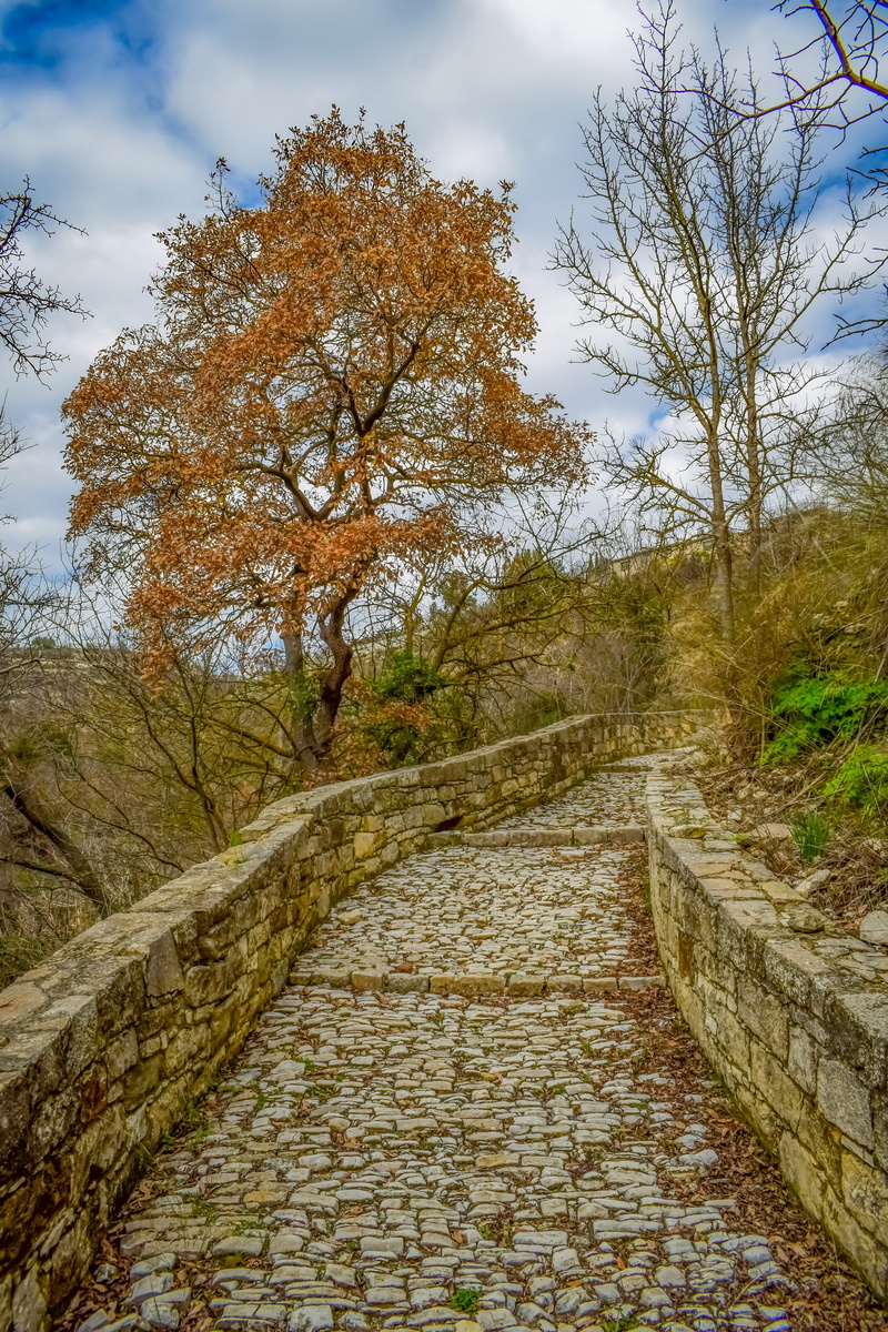 plant, tree, long, no people, troodos, footpath, non-urban scene, sky, path, cobblestone, traditional, change, architecture, land, cobbled path, tranquility