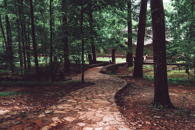 forest, growth, state, park, building, tree, plant, day, amicalola falls state park, guest, hike, tree trunk, amicalola, visitor, green, trunk, dawsonville