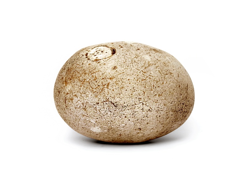 studio shot, stone, egg, wellbeing, cobble, raw food, food and drink, vegetable, 1080P, organic, pebble, potato, healthy eating, brown, food, indoors