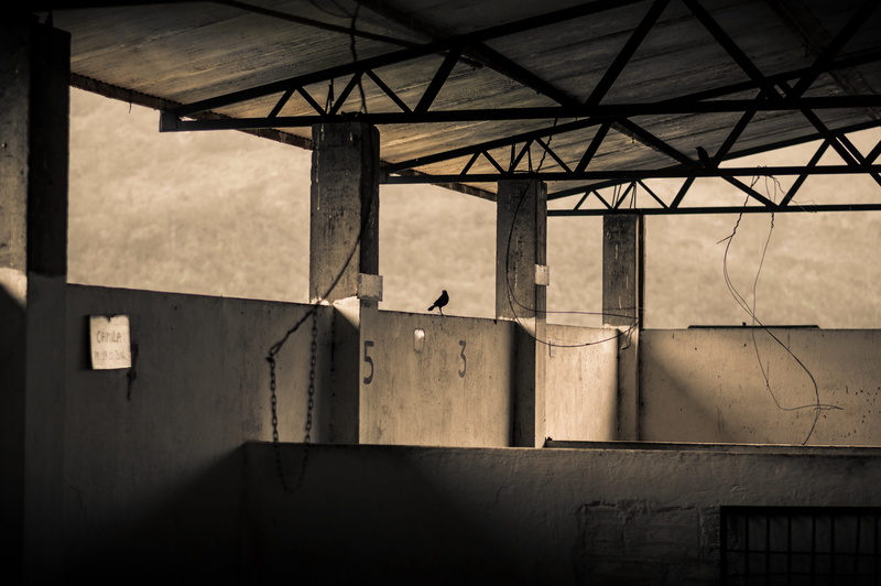 horizon, grey, door, ceiling, roof, domestic room, built structure, old, trail, concrete, sunlight, death, vacuum, natural landscape, gray, color, wall - building feature