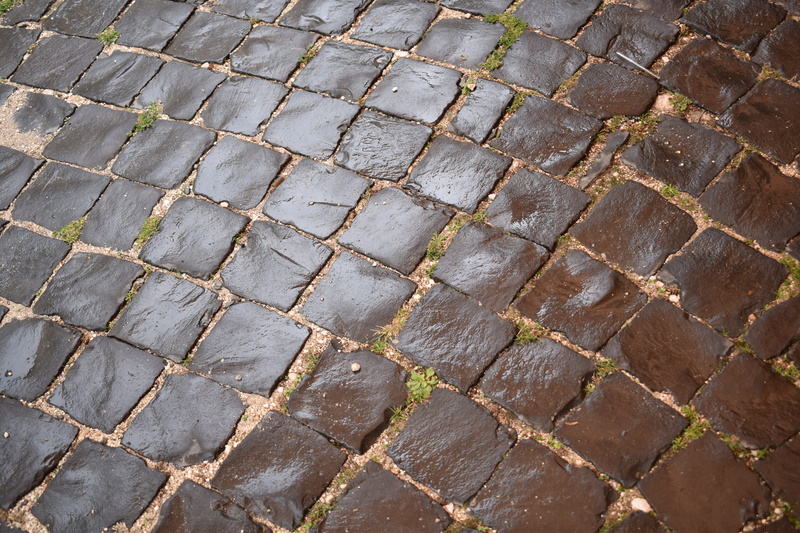 street, no people, outdoors, close-up, day, sunlight, cobblestone, textured, wet, stone, high angle view, footpath, the cobble stones, repetition, full frame