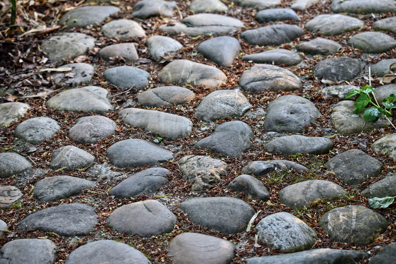 garden path, pebble, stone - object, path, green, close-up, backgrounds, nature, park, abundance, 5K, day, high angle view, cobbles, full frame, footpath