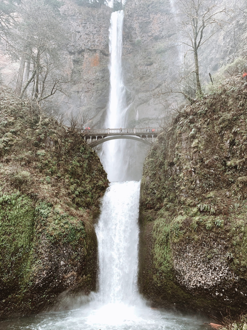 river, weather, outdoors, forest, land, time, steeple, falling water, power, day, united states, photography, nature, slate, portland, blurred motion, plant