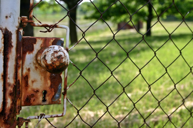 garden gate, door lock, day, stainless, wire mesh fence, rush, green, security, weathered, allotment, rusted, boundary, wire mesh, garden, door, chainlink fence