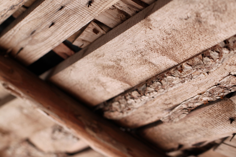 man made object, structure, antique, close-up, old, industry, interior, dirty, aged, skill, 4K, hardwood, food and drink, house, Wooden, timber, machinery