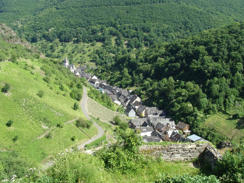 history, mountain, summer, tranquility, rhine valley, small, growth, steeg, tranquil scene, outdoors, landscape, plant, land, europe, picturesque, beauty in nature