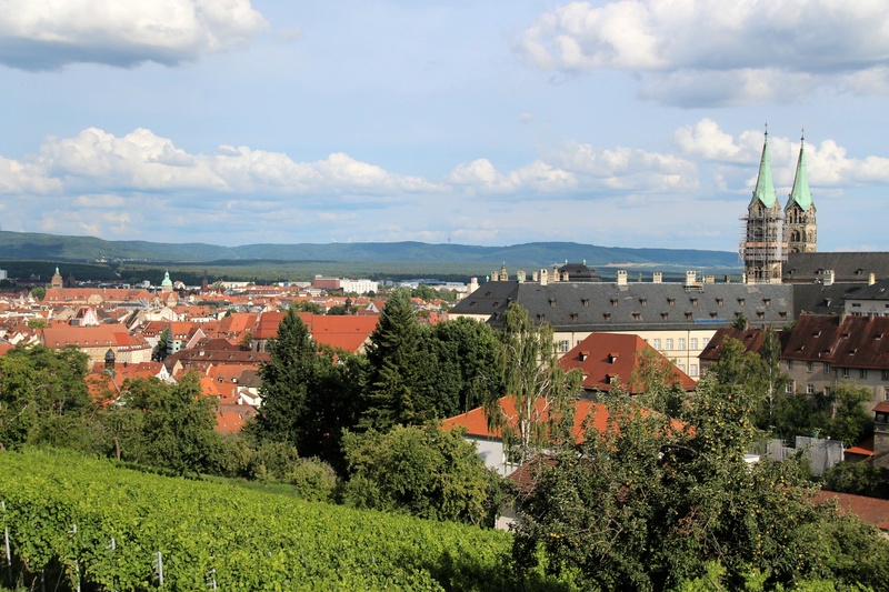 outdoors, roof, cityscape, building exterior, city view, house, nature, plant, built structure, residential district, germany, day, old town, townscape