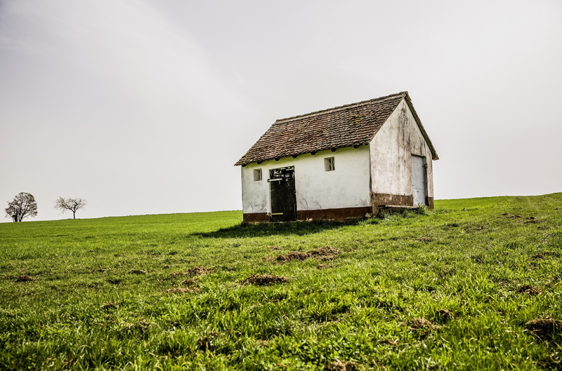 sky, green color, field, land, building, plant, farm, building exterior, outdoors, architecture, 4K, rural scene, grass, bamberg 4k   download, day, agricultural building